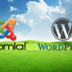 Joomla & Wordpress Websites