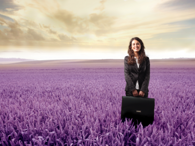Consider this about your next website before you contact a Web Designer