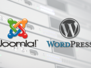 Maintenance & Hosting of Joomla and Wordpress Sites