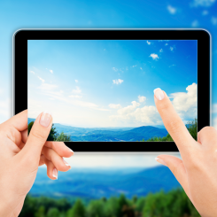 Web Design & Development