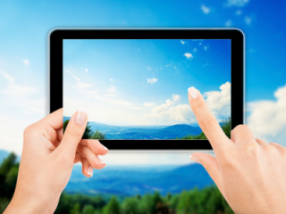 Web Design & Development