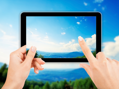 Web Design & Development